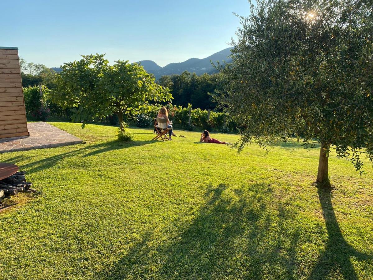 Agriturismo Terre Bianche Teolo Exterior photo